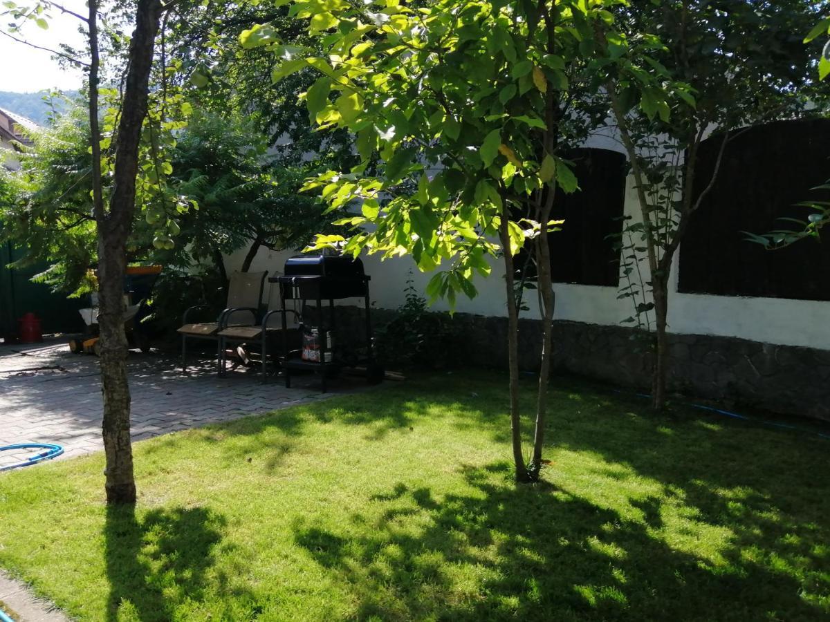 Bed and Breakfast Casa Scheiana Braszów Zewnętrze zdjęcie