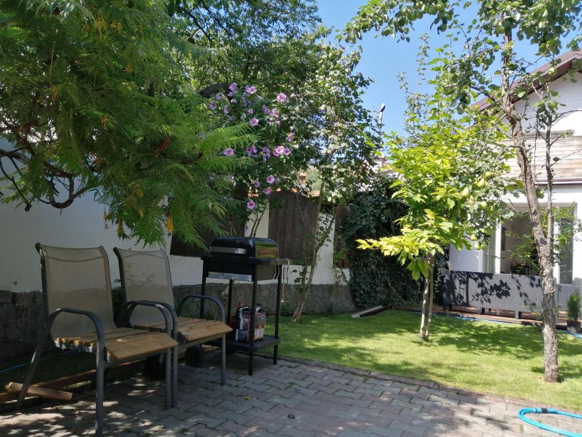 Bed and Breakfast Casa Scheiana Braszów Zewnętrze zdjęcie