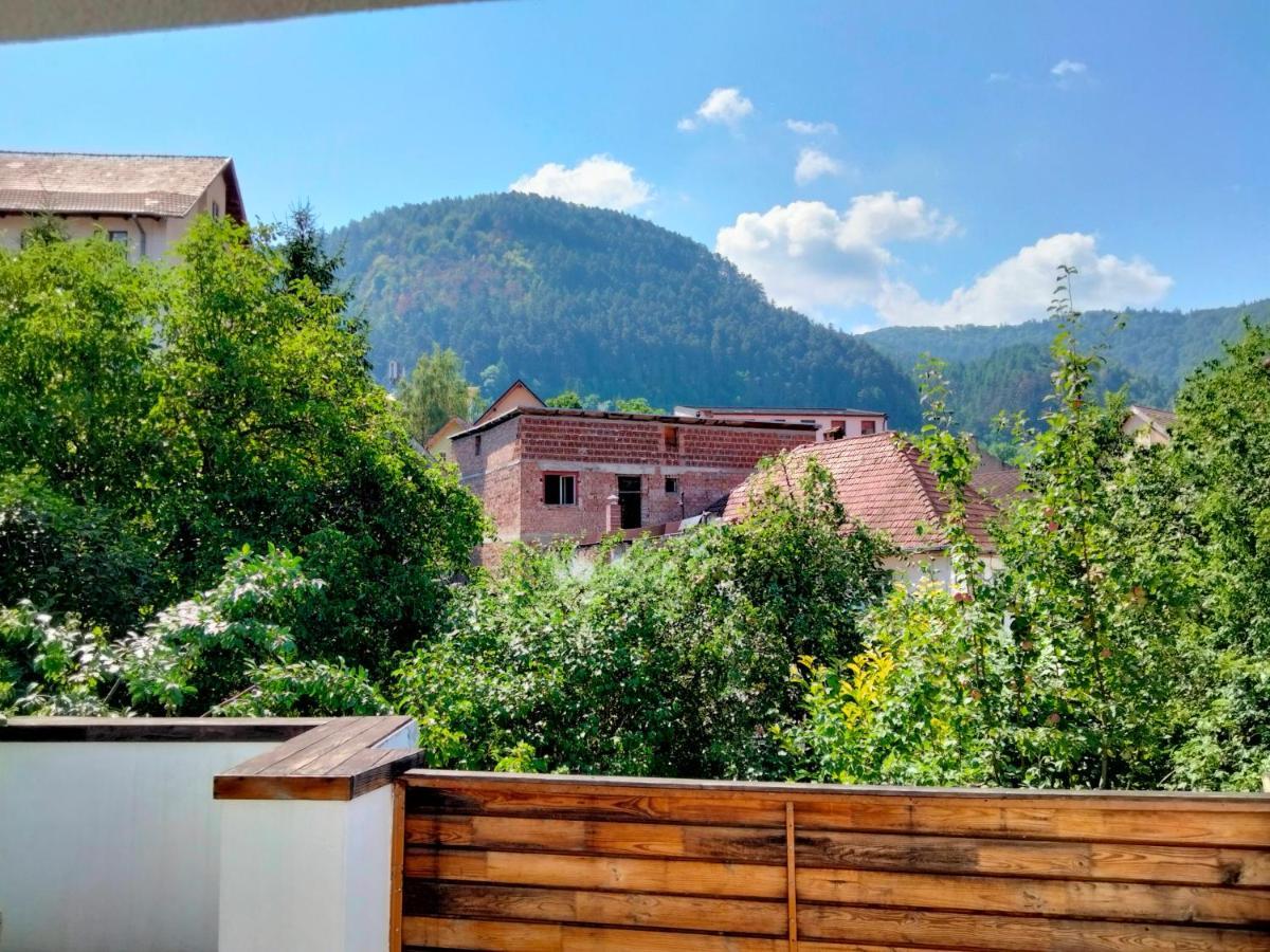 Bed and Breakfast Casa Scheiana Braszów Zewnętrze zdjęcie