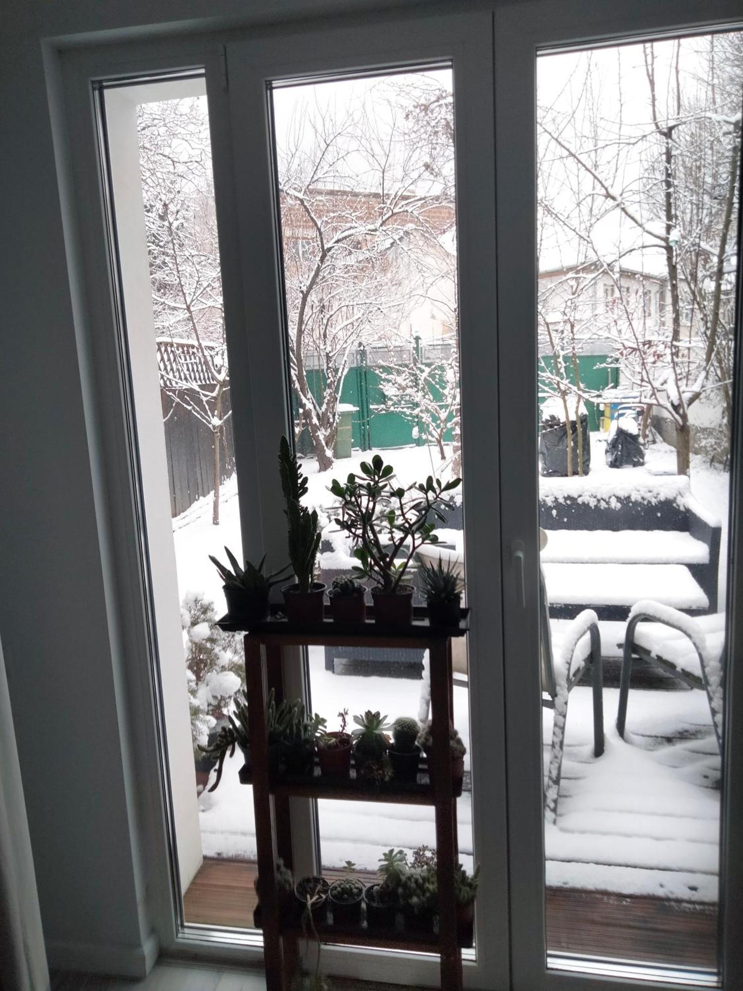 Bed and Breakfast Casa Scheiana Braszów Zewnętrze zdjęcie